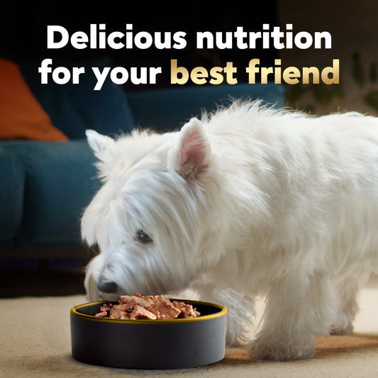 (6 pack) Cesar Loaf And Topper In Sauce Ham And Egg Wet Dog Food, 3.5 Oz Tray